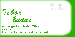 tibor budai business card